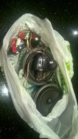 WP_20160829_033.jpg