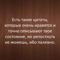 1n3ovs81hVc.jpg