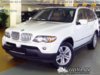 01cdd469.jpg