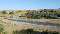 31d07ces-960.jpg