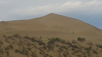b8307ces-960.jpg