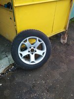 IMG_20160925_120431.jpg
