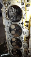 IMG-20160928-WA0014.jpg