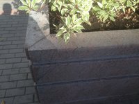 IMG_1368.JPG