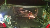 IMG_20161003_034859461.jpg