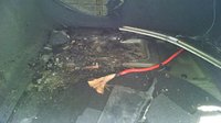 IMG_20161003_103255713.jpg