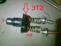 сосок.jpg