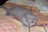 DSC00577.JPG