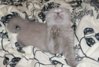 DSC00575.JPG