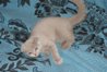 DSC00590.JPG