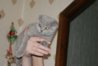 DSC00634.JPG
