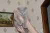 DSC00636.JPG