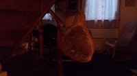DSC_0150.jpg