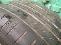 IMG_8281.JPG