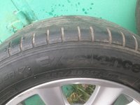 IMG_8284.JPG