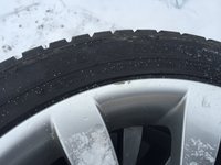 IMG_6594.JPG