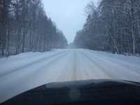 IMG_9947.JPG