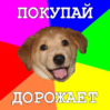 dawg.png