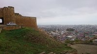 DSC_0152.JPG