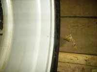 IMGP0907.JPG