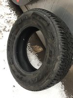 IMG_1366.JPG