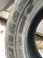 IMG_1368.JPG