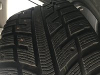 IMG_9501.jpg