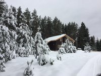 IMG_7704.JPG