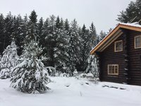 IMG_7706.JPG