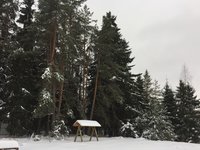 IMG_7709.JPG