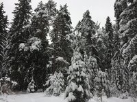 IMG_7714.JPG