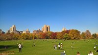 WP_20161119_12_20_24_Pro.jpg