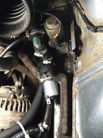 IMG_20161120_171538_BURST18.jpg
