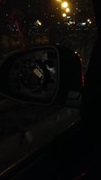 IMG_0156-23-11-16-10-41.jpeg
