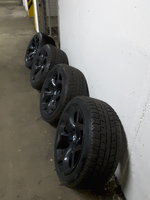 20161130_041243.jpg