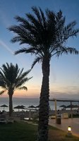 WP_20161015_18_22_06_Pro.jpg