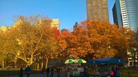 WP_20161118_16_10_26_Pro.jpg