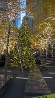 WP_20161118_16_34_12_Pro.jpg