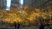WP_20161118_16_33_25_Pro.jpg