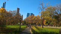 WP_20161119_12_08_40_Pro.jpg