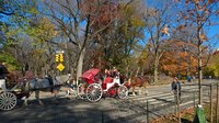 WP_20161119_12_10_13_Pro.jpg