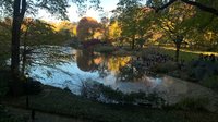 WP_20161119_12_48_13_Pro.jpg