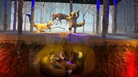 WP_20161119_15_27_18_Pro.jpg