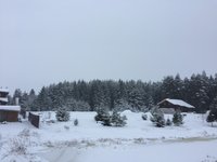 IMG_8153.JPG