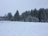 IMG_8159.JPG