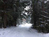 IMG_8174.JPG