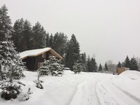 IMG_8181.JPG