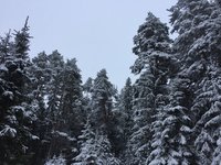 IMG_8201.JPG