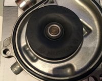 IMG_0587.JPG