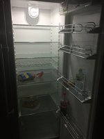 IMG_4252.JPG